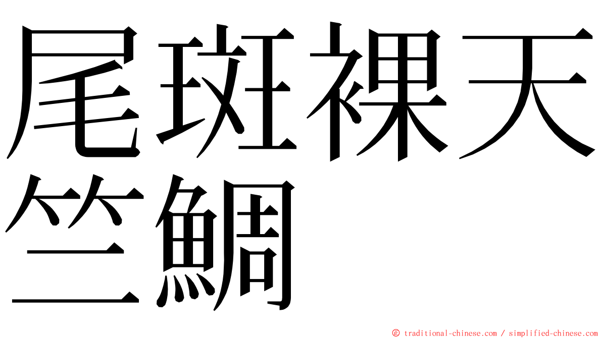 尾斑裸天竺鯛 ming font