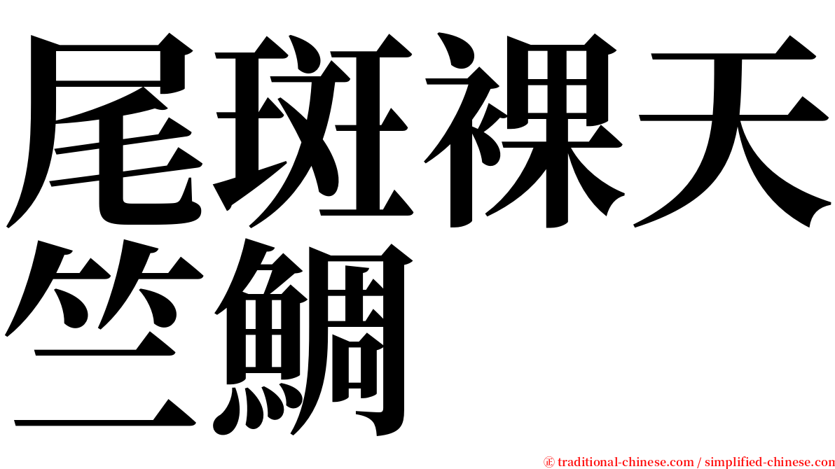 尾斑裸天竺鯛 serif font