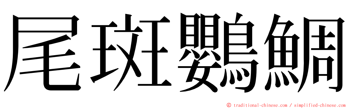 尾斑鸚鯛 ming font