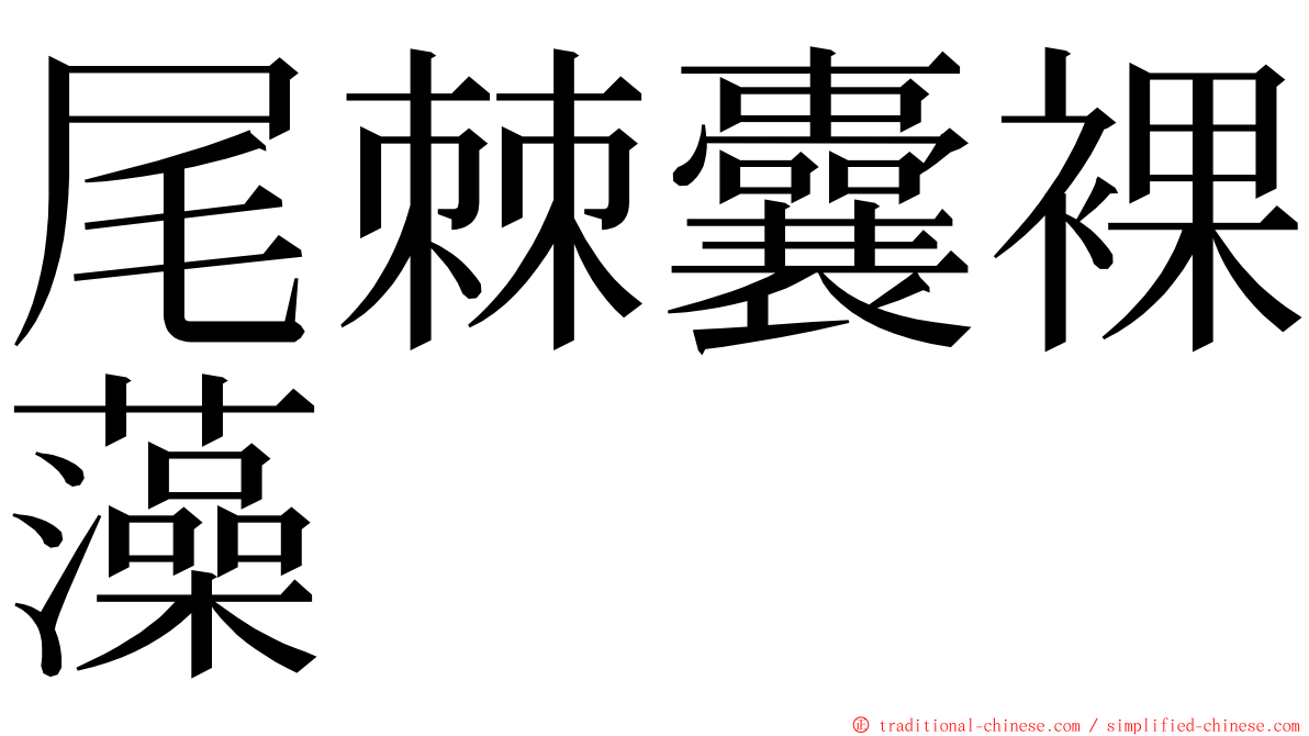 尾棘囊裸藻 ming font