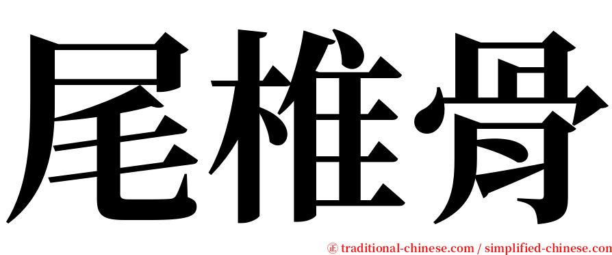 尾椎骨 serif font