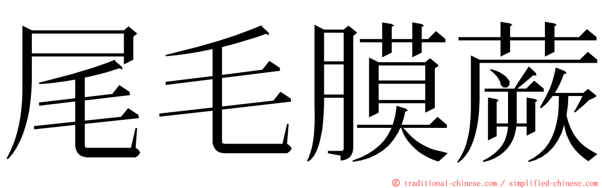 尾毛膜蕨 ming font