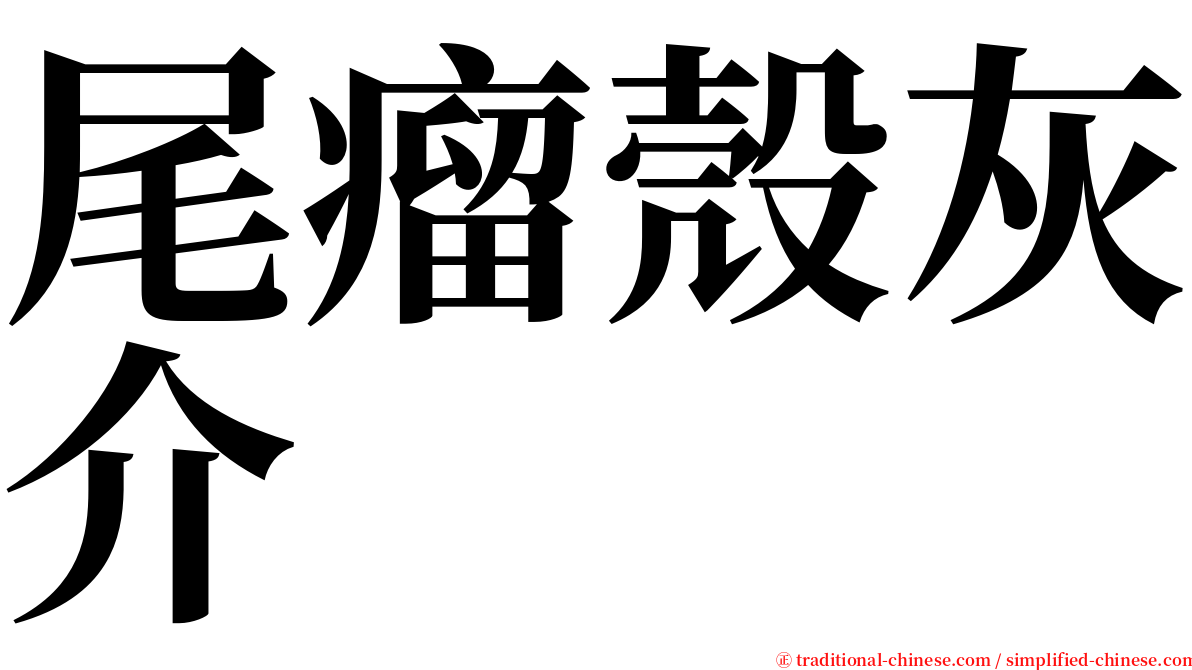 尾瘤殼灰介 serif font