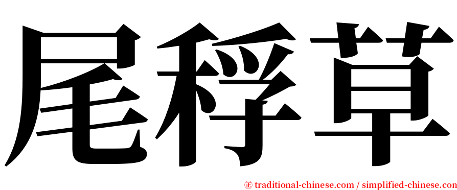 尾稃草 serif font