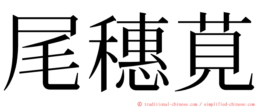 尾穗莧 ming font