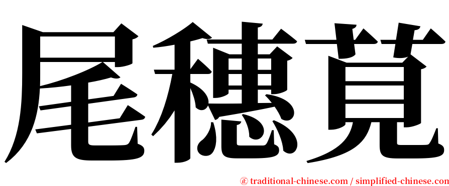 尾穗莧 serif font