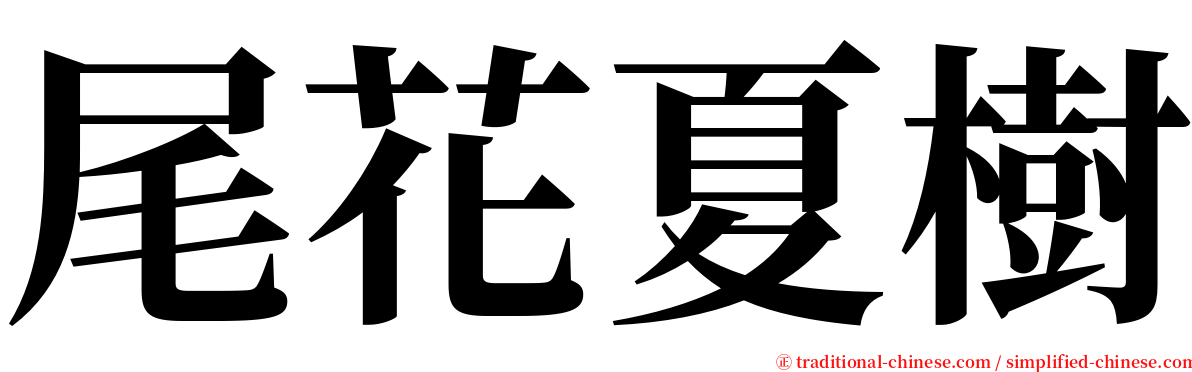 尾花夏樹 serif font