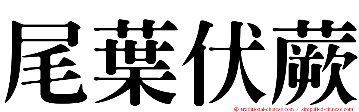 尾葉伏蕨