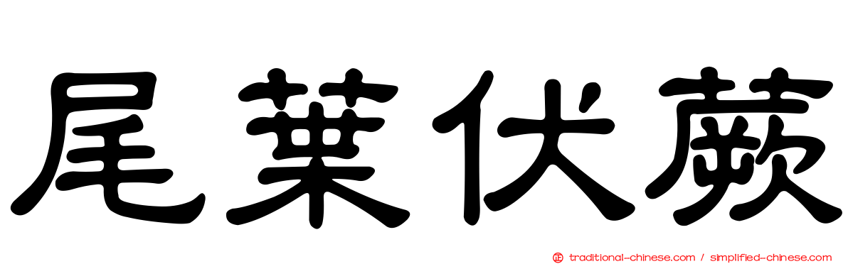 尾葉伏蕨