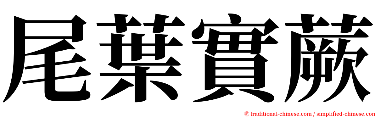 尾葉實蕨 serif font