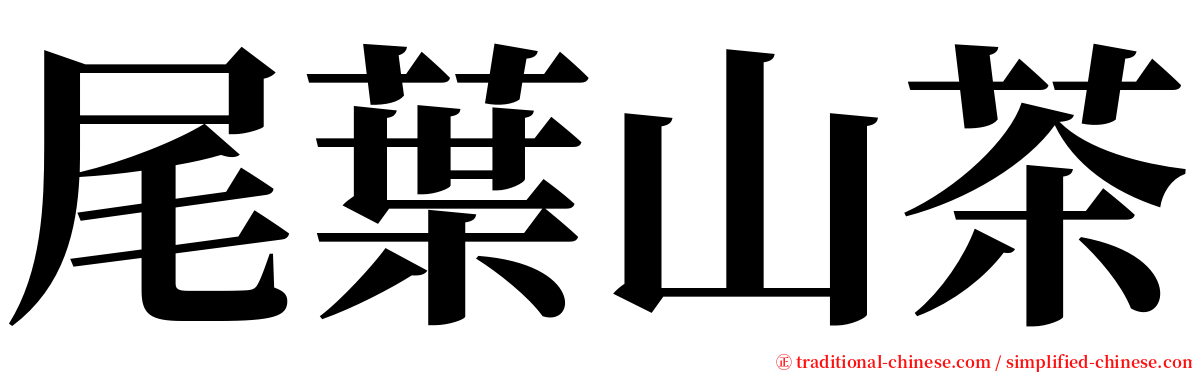 尾葉山茶 serif font