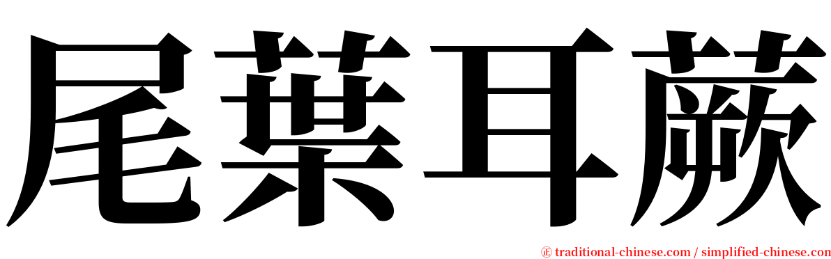 尾葉耳蕨 serif font