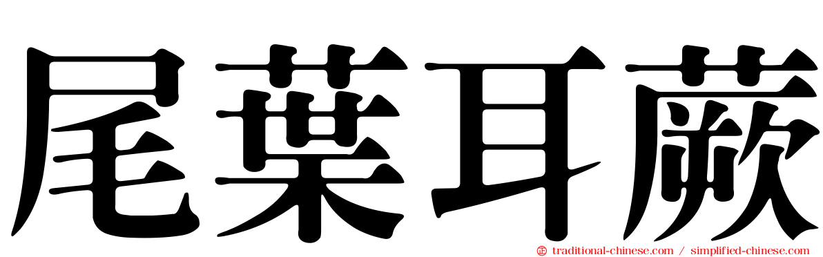 尾葉耳蕨