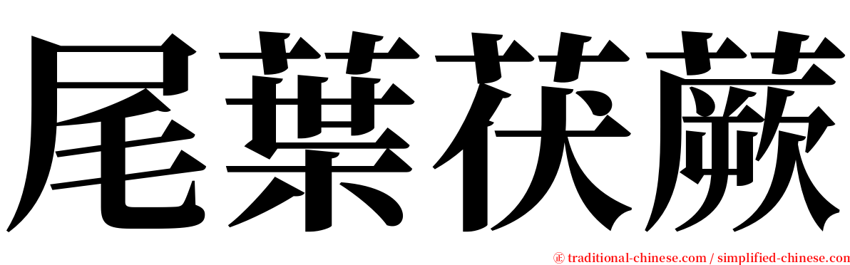 尾葉茯蕨 serif font