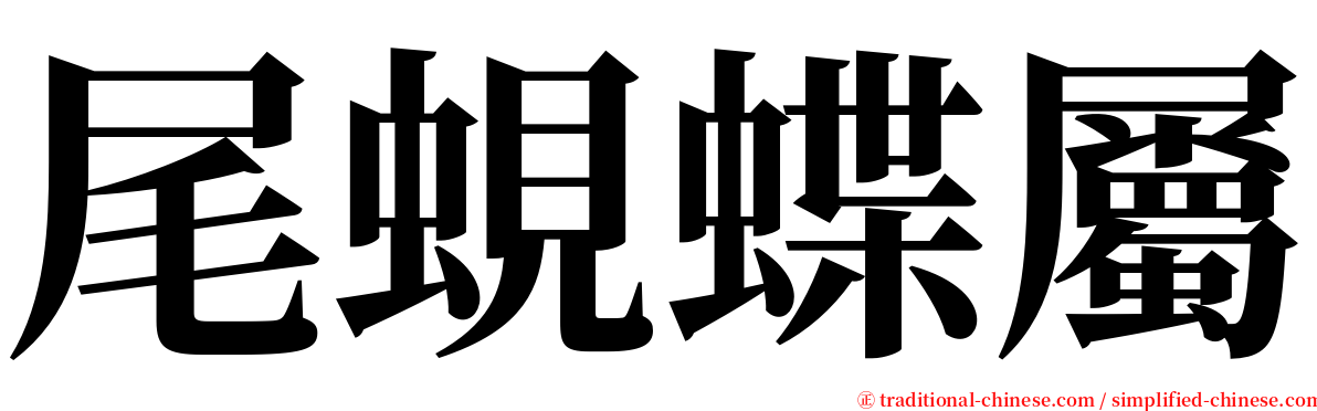 尾蜆蝶屬 serif font