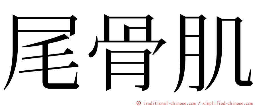 尾骨肌 ming font