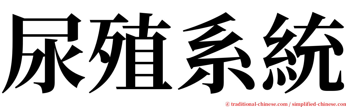 尿殖系統 serif font