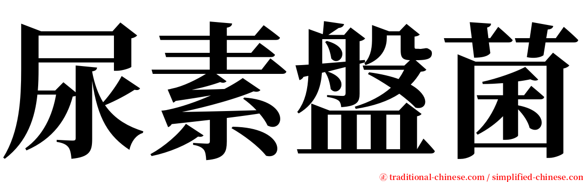 尿素盤菌 serif font