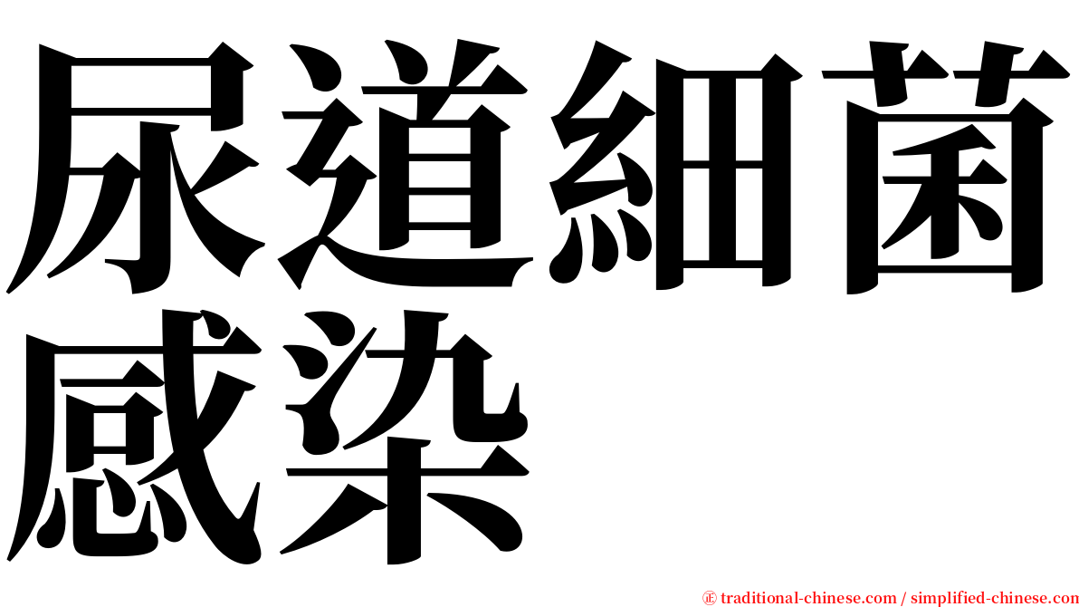 尿道細菌感染 serif font