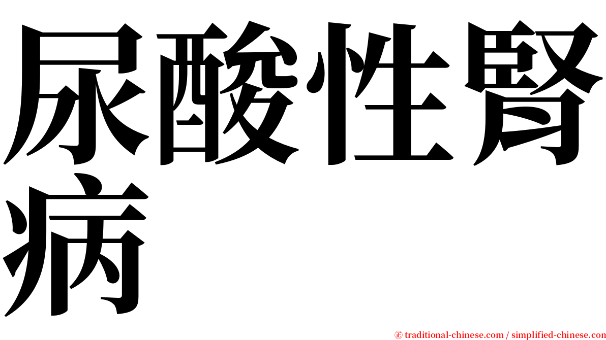 尿酸性腎病 serif font