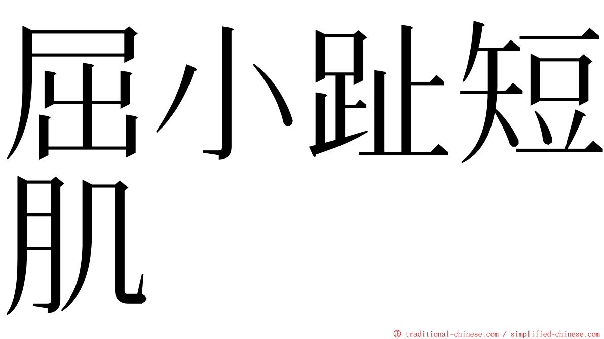 屈小趾短肌 ming font