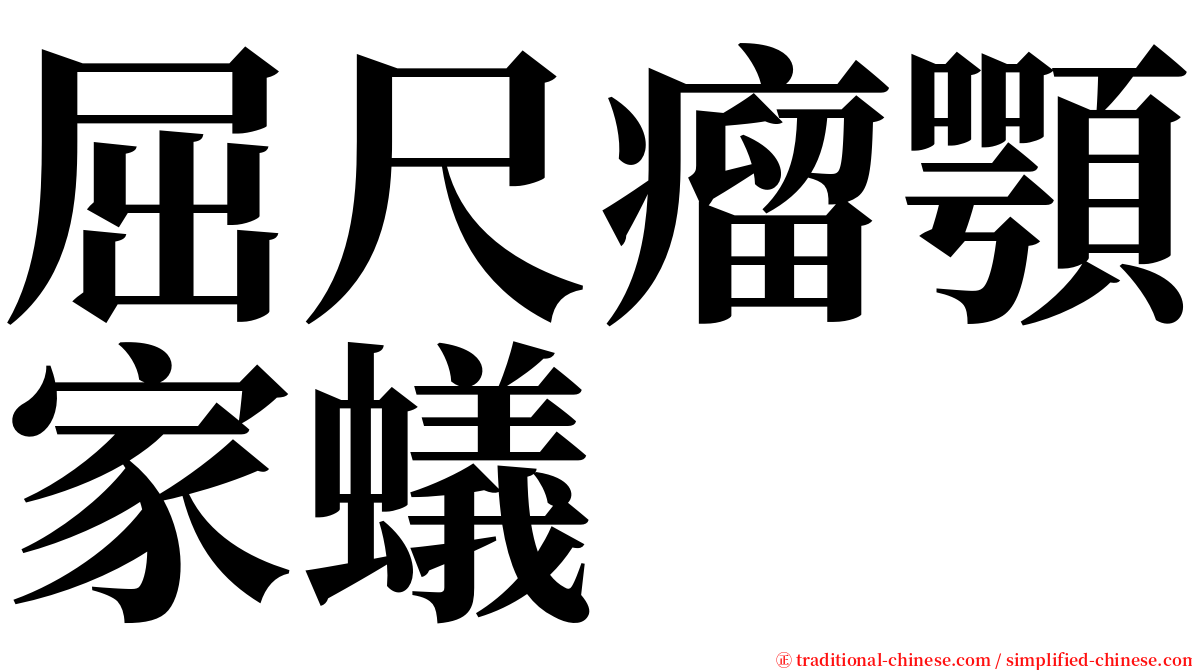 屈尺瘤顎家蟻 serif font