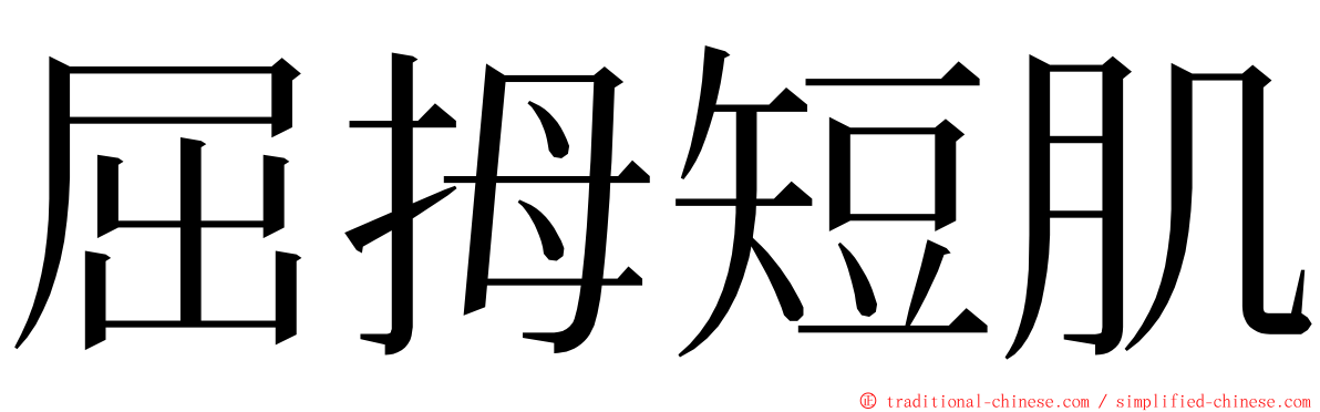 屈拇短肌 ming font