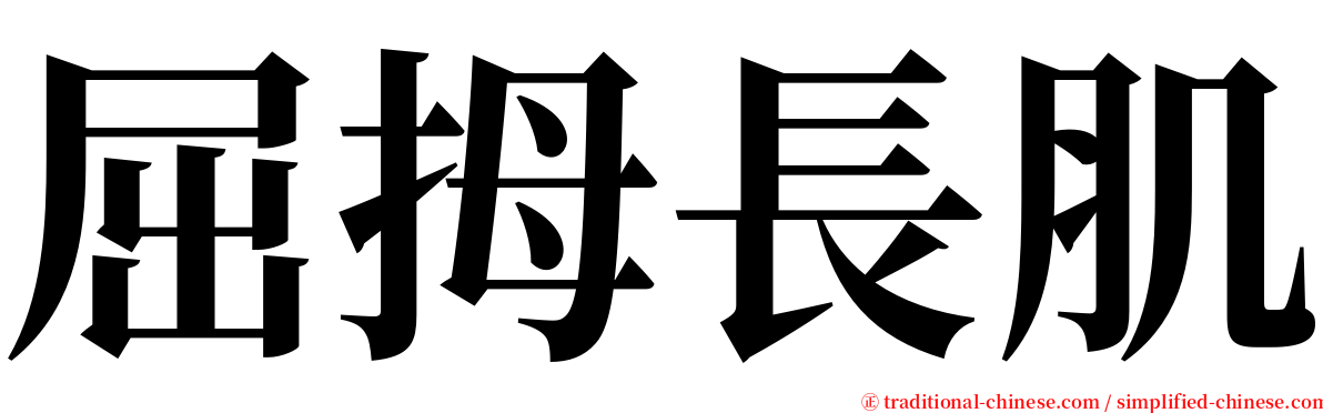 屈拇長肌 serif font