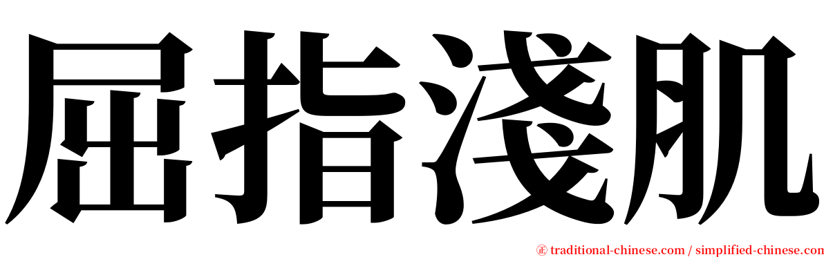 屈指淺肌 serif font