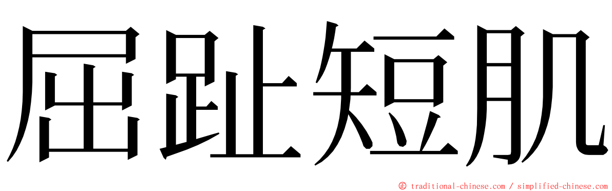 屈趾短肌 ming font