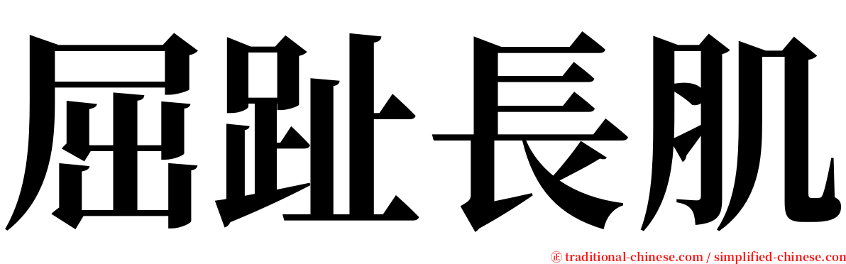 屈趾長肌 serif font