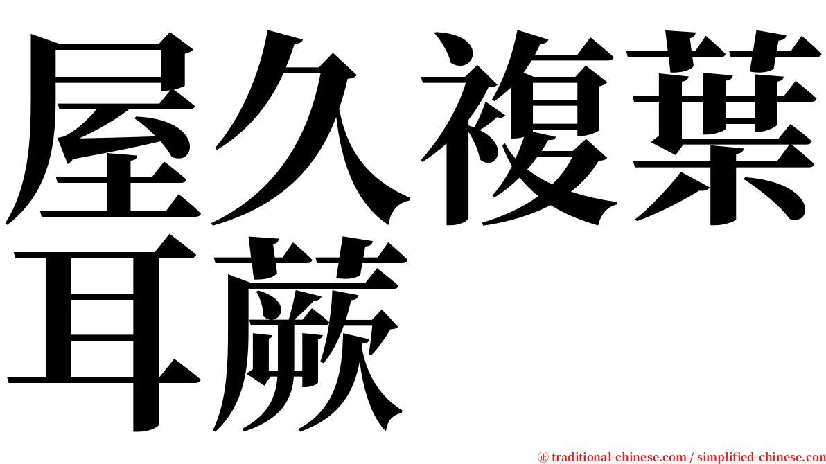 屋久複葉耳蕨 serif font