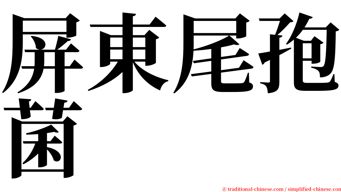 屏東尾孢菌 serif font