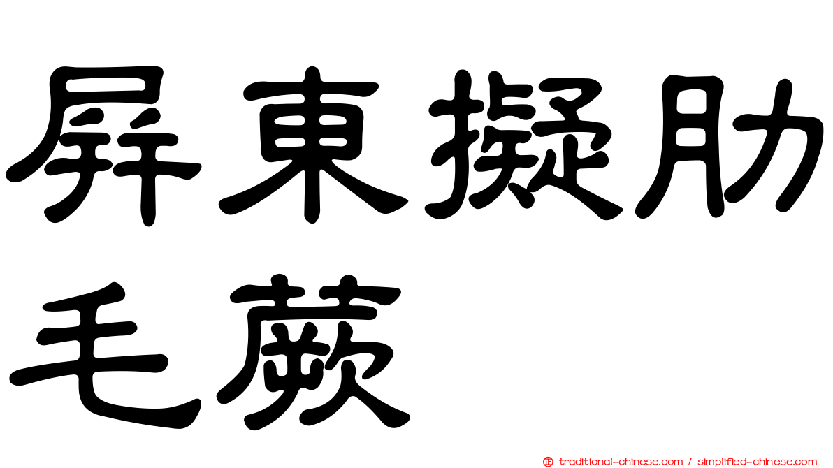 屏東擬肋毛蕨