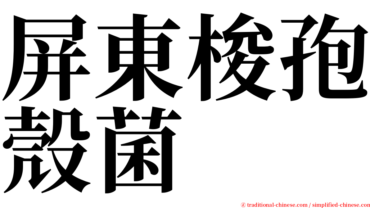 屏東梭孢殼菌 serif font