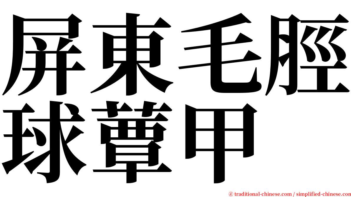 屏東毛脛球蕈甲 serif font