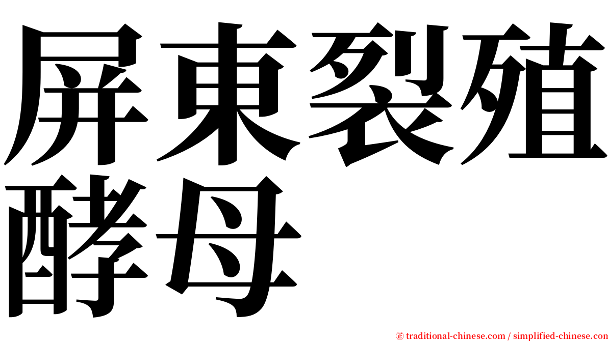 屏東裂殖酵母 serif font