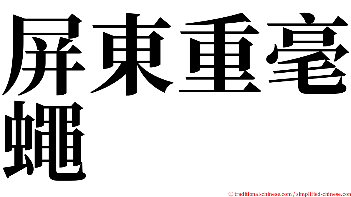 屏東重毫蠅 serif font