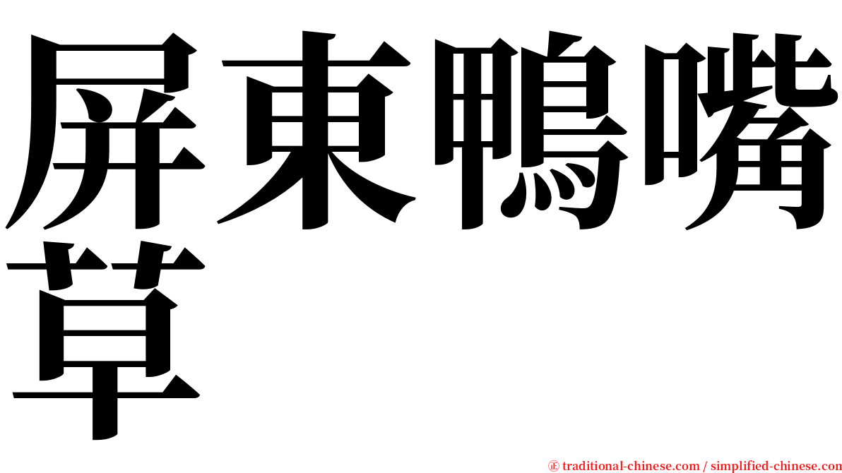 屏東鴨嘴草 serif font