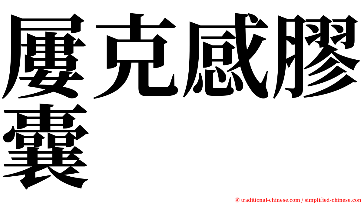 屢克感膠囊 serif font