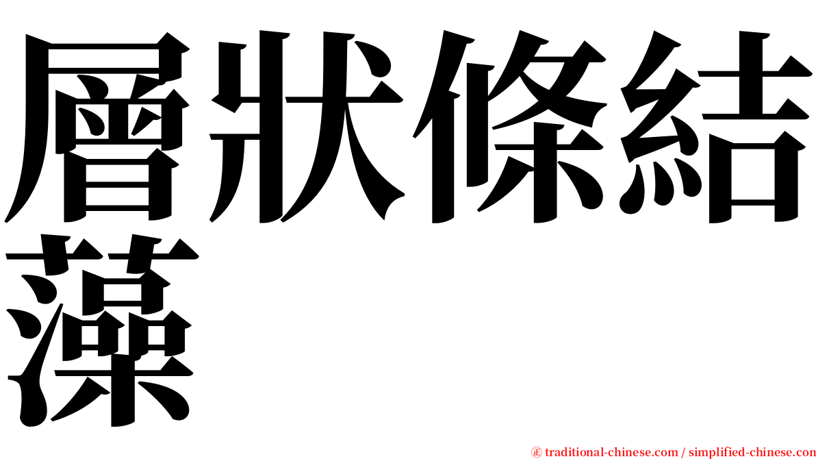 層狀條結藻 serif font