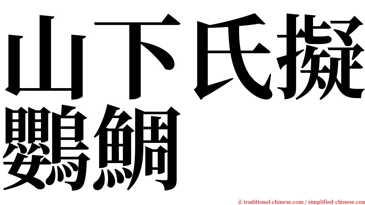 山下氏擬鸚鯛 serif font