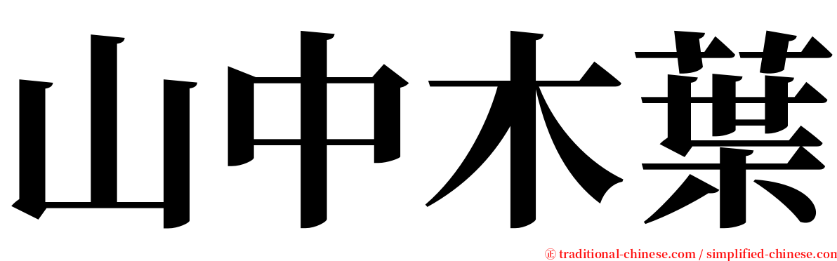 山中木葉 serif font