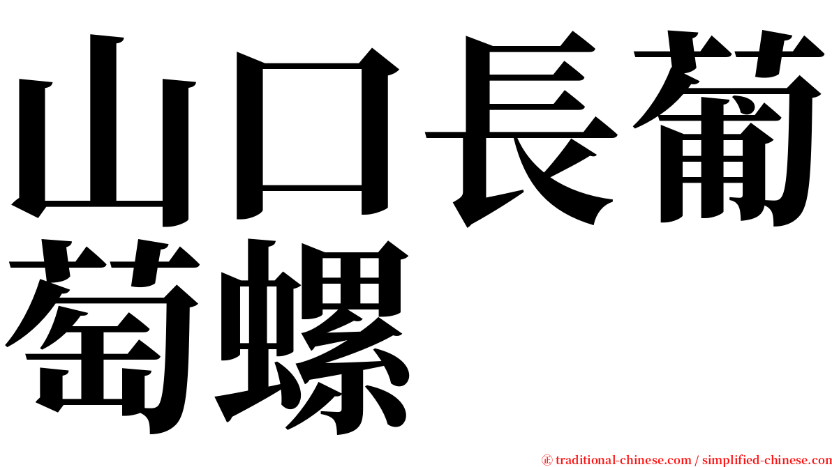 山口長葡萄螺 serif font