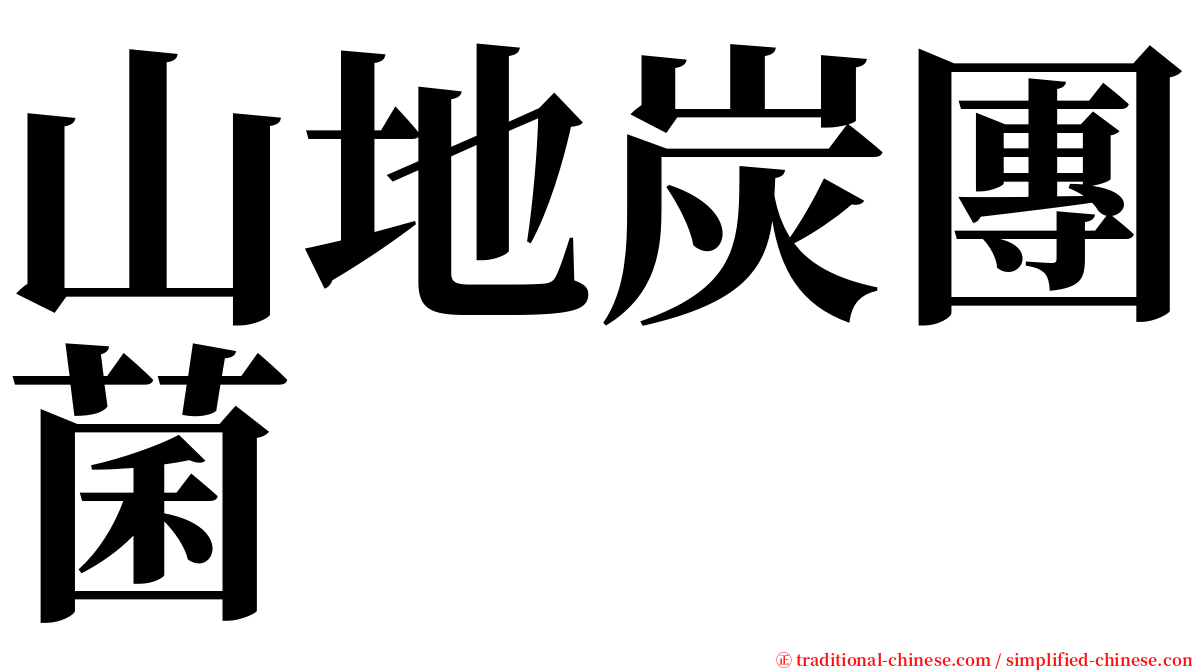 山地炭團菌 serif font