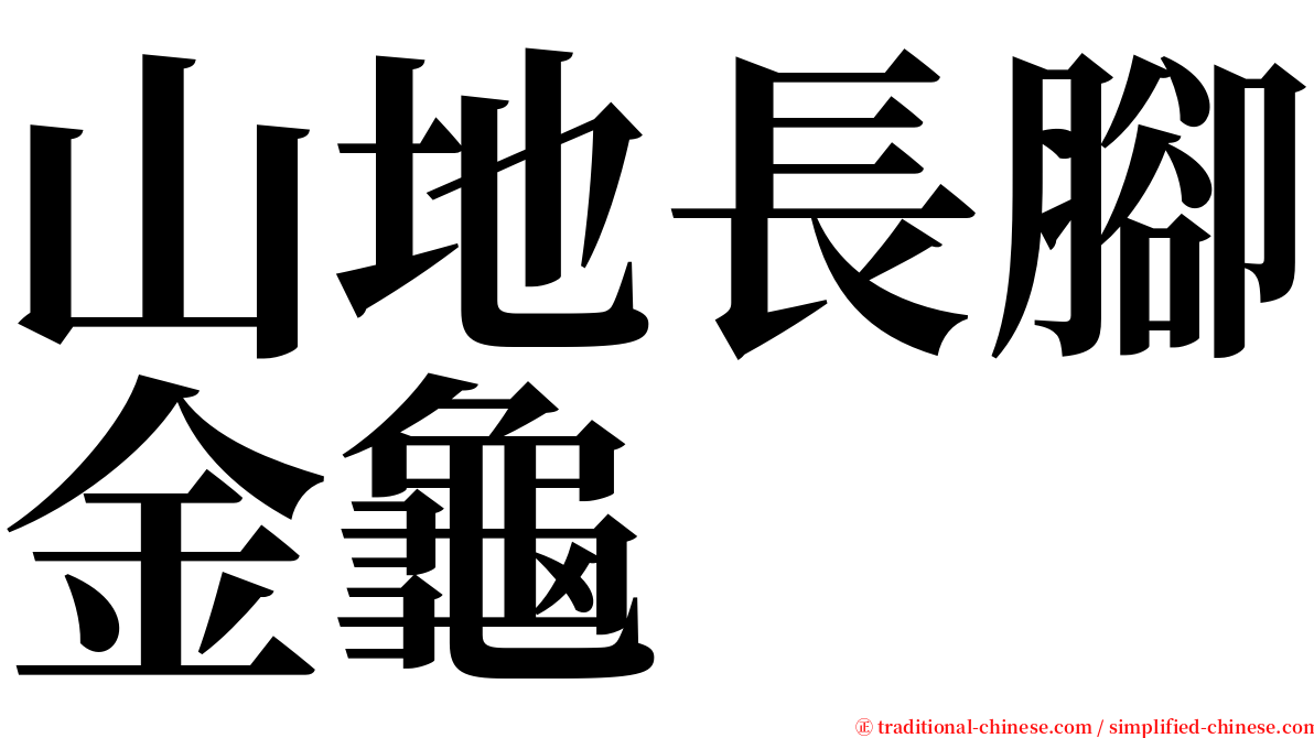 山地長腳金龜 serif font