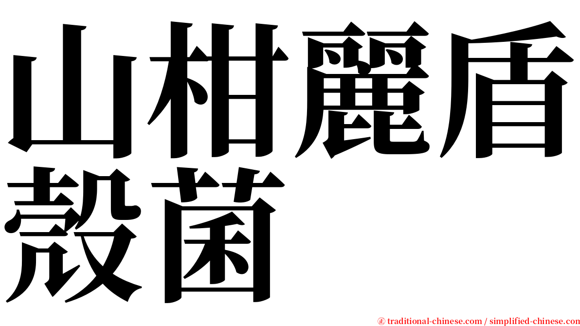 山柑麗盾殼菌 serif font