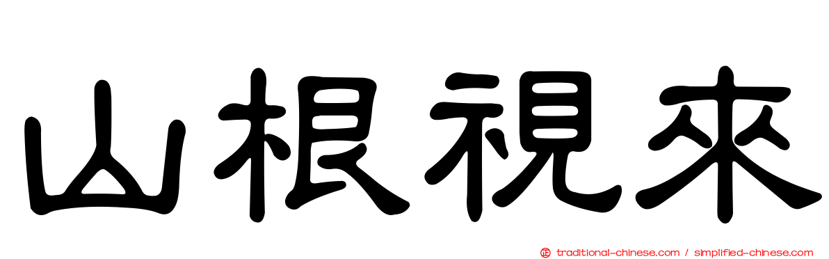 山根視來