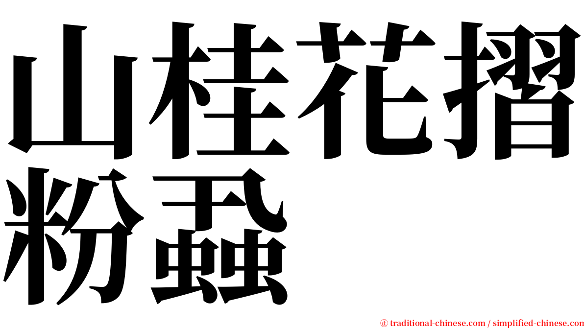 山桂花摺粉蝨 serif font