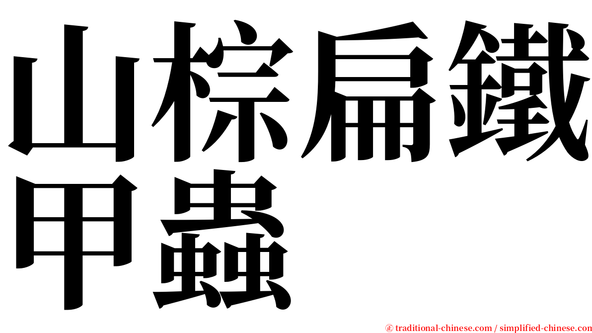 山棕扁鐵甲蟲 serif font